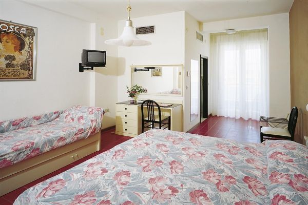 Hotel Zanarini In Centro A 3*